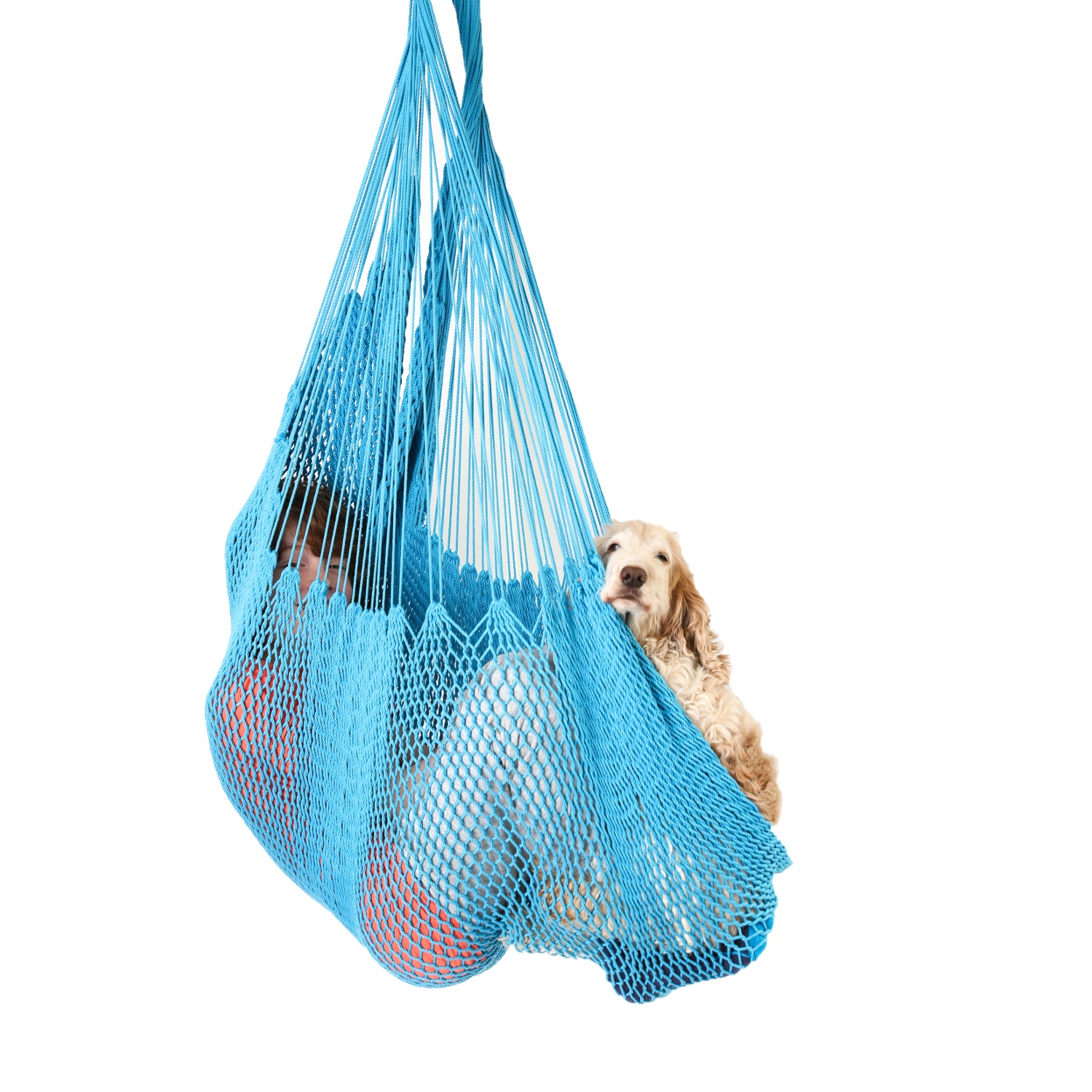 A boy and his dog are enjoying swining in Blue DreamGYM Hammock Swing