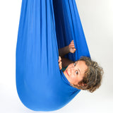 Doorway Therapy Sensory Swing - Blue - DreamGYM