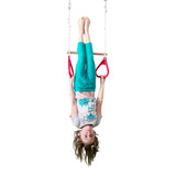 Gym Rings and Trapeze Bar Combo - Red - DreamGYM